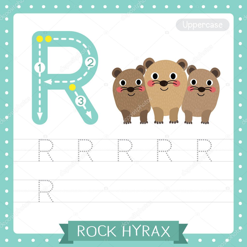 Letter R uppercase cute children colorful zoo and animals ABC alphabet tracing practice worksheet of Rock Hyrax family for kids learning English vocabulary and handwriting vector illustration.