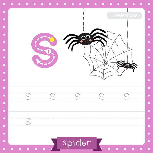 Letter S lowercase cute children colorful zoo and animals ABC alphabet tracing practice worksheet of Black Spider for kids learning English vocabulary and handwriting vector illustration.