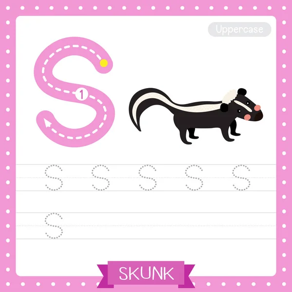 대문자귀여운 어린이 동물원 Abc 알파벳 스컹크 Skunk 시험지를 녹화하여 단어와 — 스톡 벡터