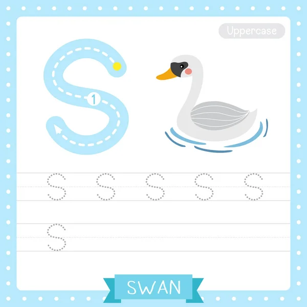 대문자귀여운 어린이 동물원 Abc 알파벳 연습용 Swan 단어와 일러스트를 배우는 — 스톡 벡터