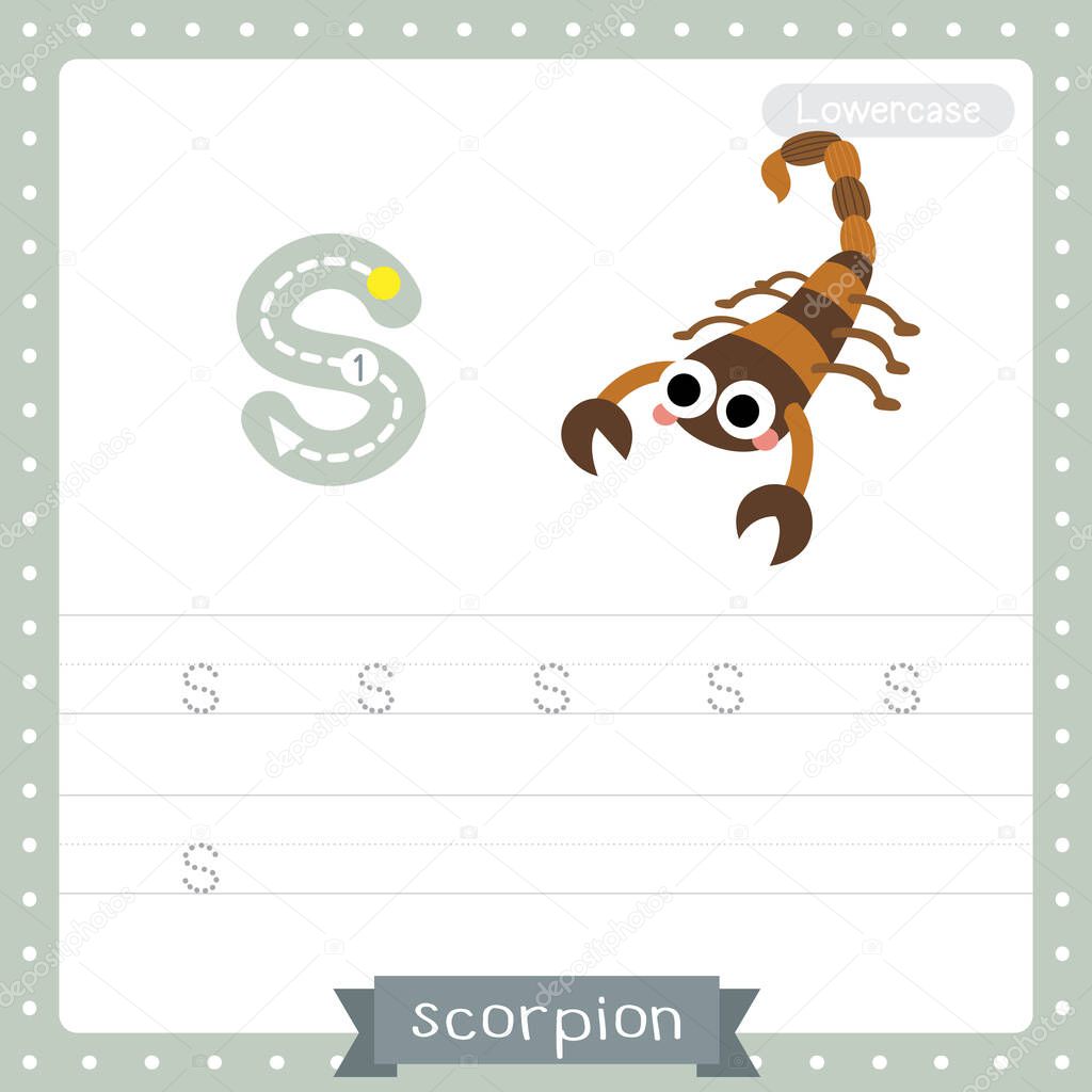 Letter S lowercase cute children colorful zoo and animals ABC alphabet tracing practice worksheet of Scorpion for kids learning English vocabulary and handwriting vector illustration.