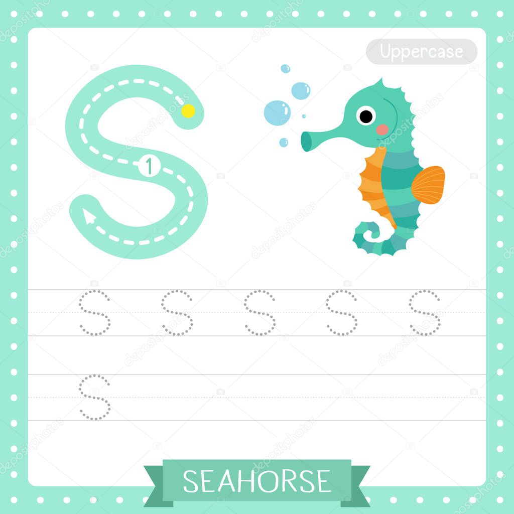 Letter S uppercase cute children colorful zoo and animals ABC alphabet tracing practice worksheet of Cute Seahorse for kids learning English vocabulary and handwriting vector illustration.