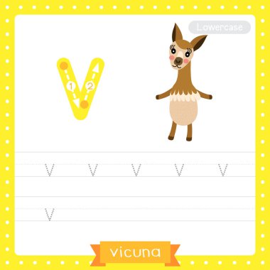 Letter V lowercase cute children colorful zoo and animals ABC alphabet tracing practice worksheet of Vicuna for kids learning English vocabulary and handwriting vector illustration. clipart
