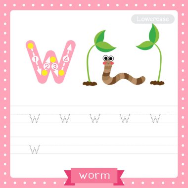 W harfi küçük çocuklar için renkli hayvanat bahçesi ve ABC alfabesindeki hayvanlar için Happy Worm 'un İngilizce kelime dağarcığı ve el yazısı çizimi öğrenen çocuklar için çalışma tablosu..