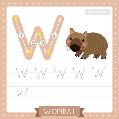 Letter W uppercase cute children colorful zoo and animals ABC alphabet tracing practice worksheet of Happy Wombat for kids learning English vocabulary and handwriting vector illustration. clipart