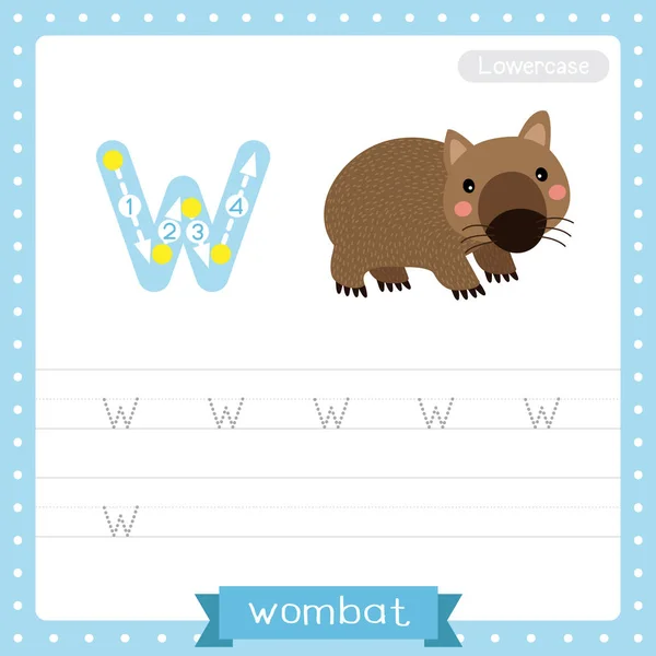 소문자귀여운 어린이 동물원 Abc 알파벳 연습을 Happy Wombat 단어와 그림을 — 스톡 벡터