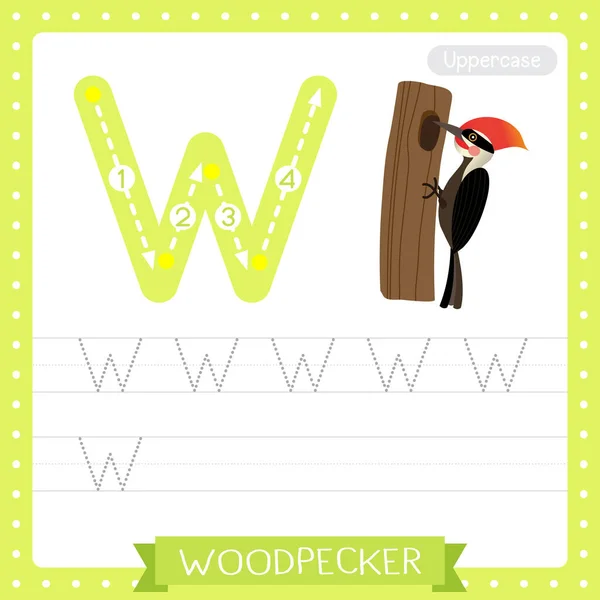 대문자귀여운 어린이 동물원 Abc 알파벳 Woodpecker Bird 시트를 학습하는 아이들 — 스톡 벡터