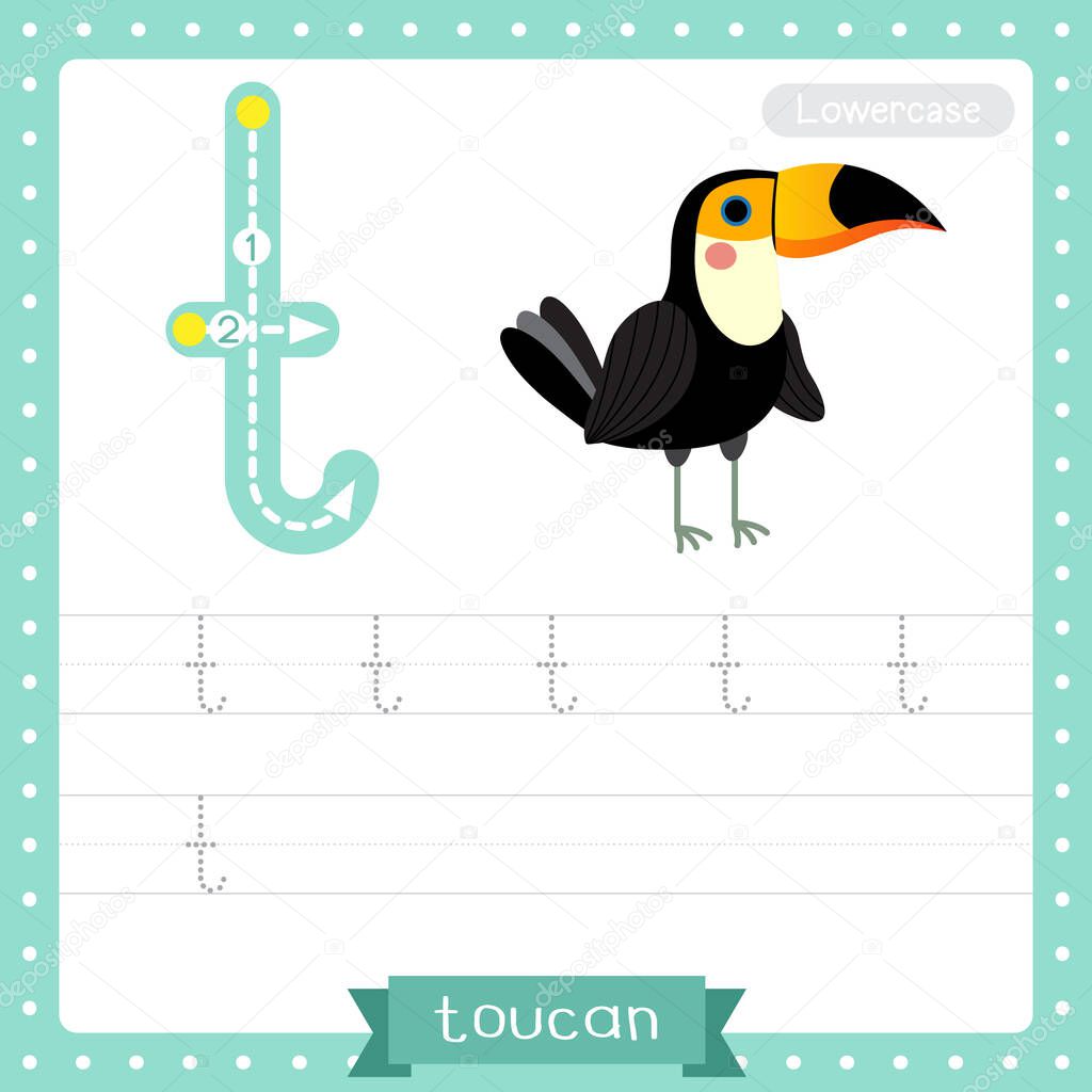 Letter T lowercase cute children colorful zoo and animals ABC alphabet tracing practice worksheet of Standing Toucan bird for kids learning English vocabulary and handwriting vector illustration.
