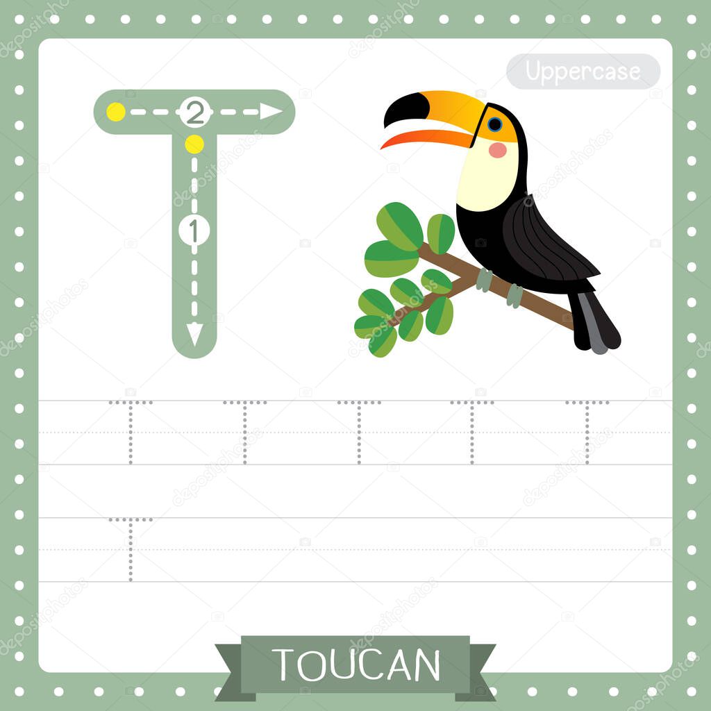 Letter T uppercase cute children colorful zoo and animals ABC alphabet tracing practice worksheet of Toucan bird for kids learning English vocabulary and handwriting vector illustration.
