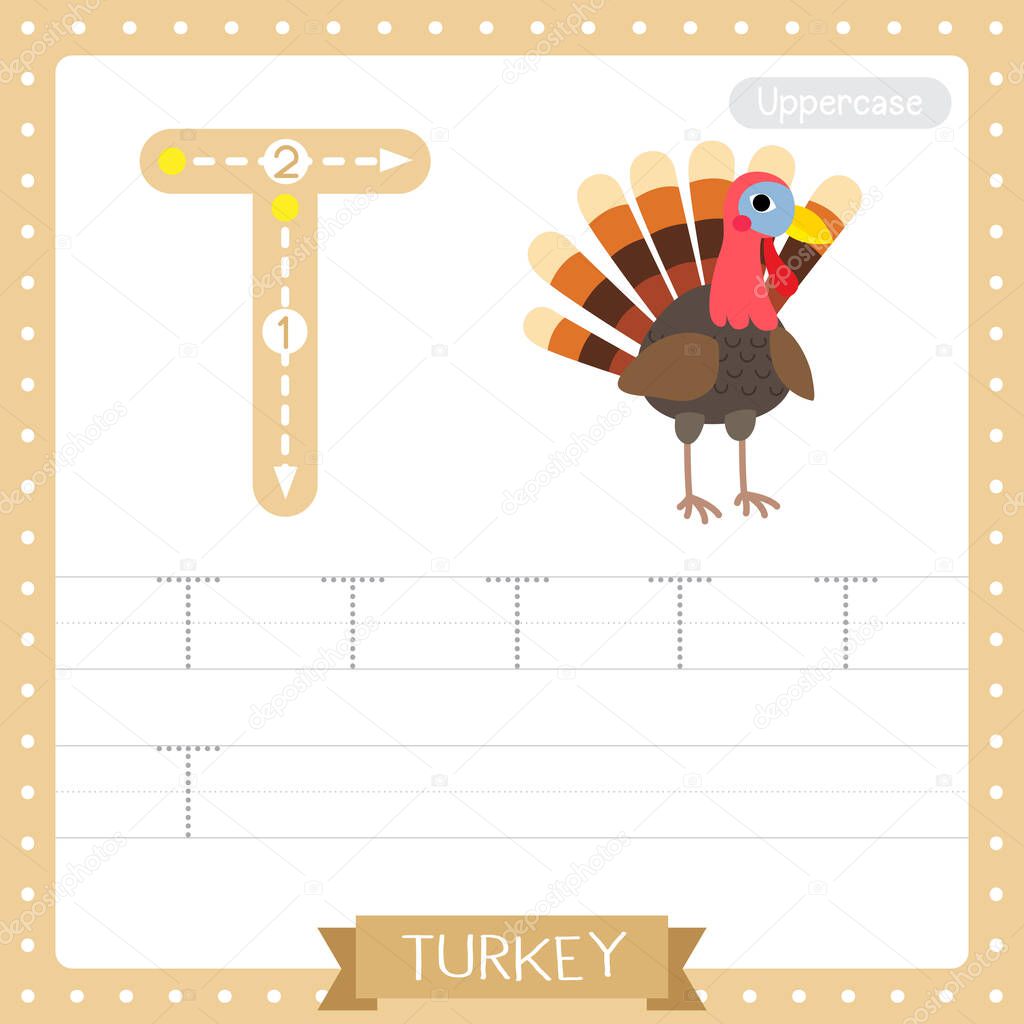 Letter T uppercase cute children colorful zoo and animals ABC alphabet tracing practice worksheet of Turkey bird for kids learning English vocabulary and handwriting vector illustration.
