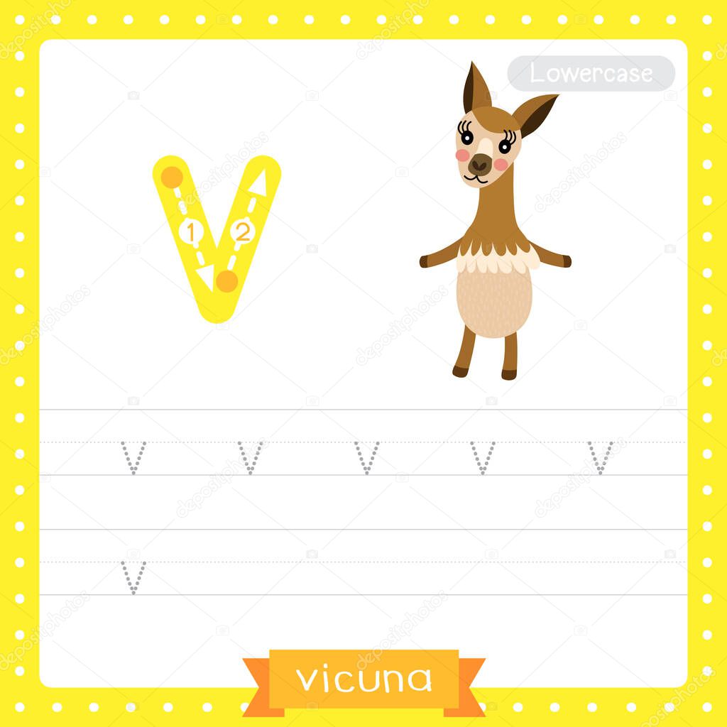 Letter V lowercase cute children colorful zoo and animals ABC alphabet tracing practice worksheet of Vicuna for kids learning English vocabulary and handwriting vector illustration.