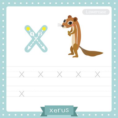X harfi küçük çocuklar için renkli hayvanat bahçesi ve hayvanlar için ABC alfabesi Xerus 'un İngilizce kelime dağarcığı ve el yazısı çizimi öğrenen çocuklar için çalışma tablosu.