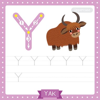 Y harfi büyük çocuklar için renkli hayvanat bahçesi ve hayvanlar için ABC alfabe iz sürme alıştırması İngilizce kelime bilgisi ve el yazısı vektör çizimi öğrenen çocuklar için Yak.