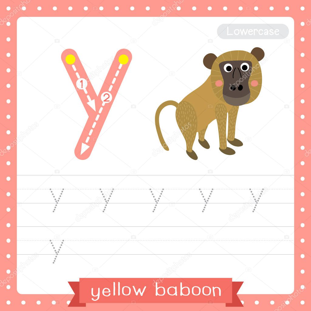Letter Y lowercase cute children colorful zoo and animals ABC alphabet tracing practice worksheet of Yellow Baboon monkey for kids learning English vocabulary and handwriting vector illustration.
