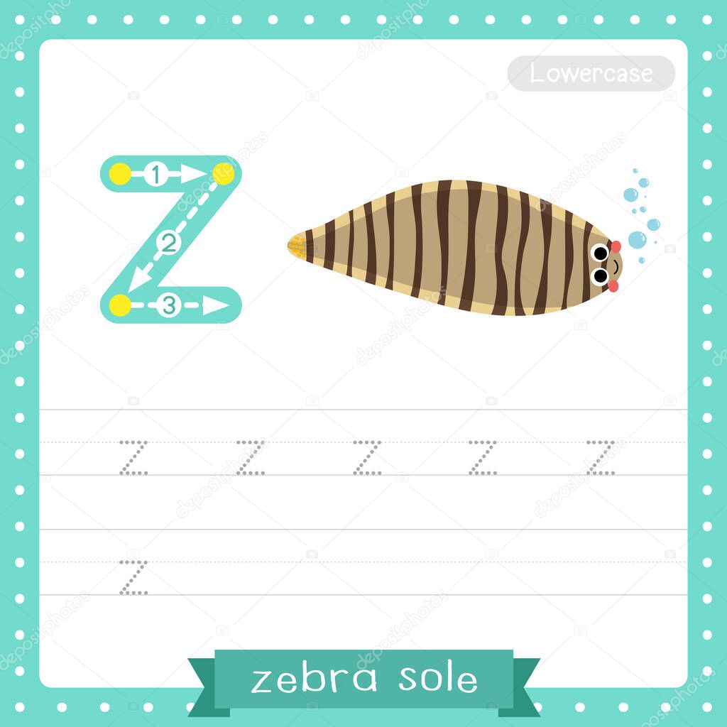 Letter Z lowercase cute children colorful zoo and animals ABC alphabet tracing practice worksheet of Zebra Sole for kids learning English vocabulary and handwriting vector illustration.