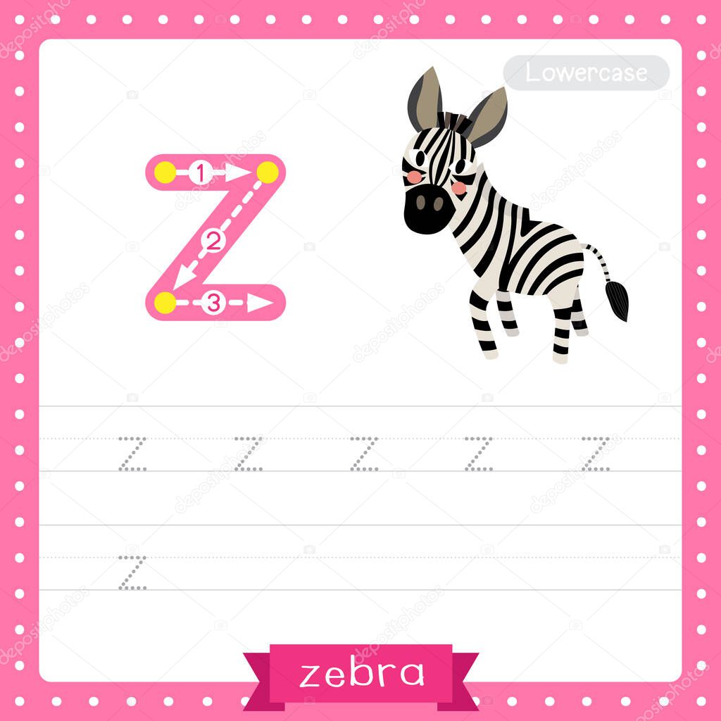 Letter Z lowercase cute children colorful zoo and animals ABC alphabet tracing practice worksheet of Zebra for kids learning English vocabulary and handwriting vector illustration.