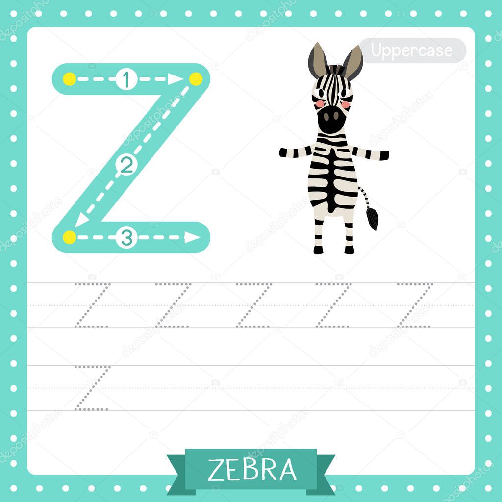Letter Z uppercase cute children colorful zoo and animals ABC alphabet tracing practice worksheet of Zebra standing on two legs for kids learning English vocabulary and handwriting vector illustration.
