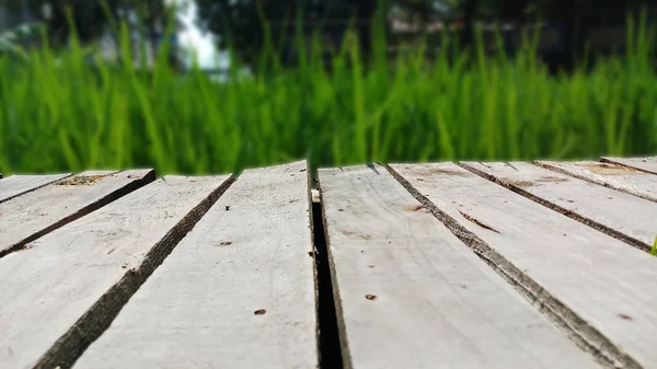 グリーン ライス フィールド背景の自然な木製の橋 — ストック写真