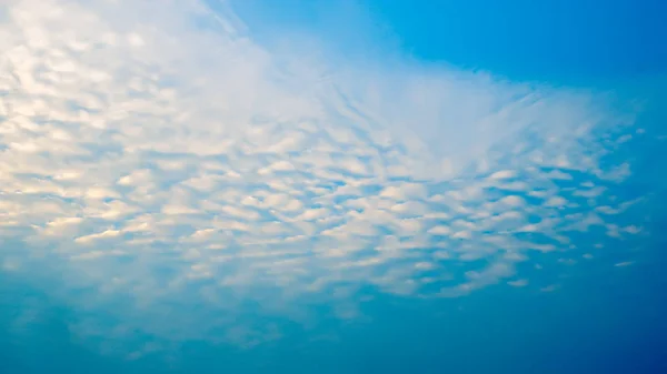 Awan putih dengan langit biru di latar belakang, awan di cakrawala langit biru — Stok Foto