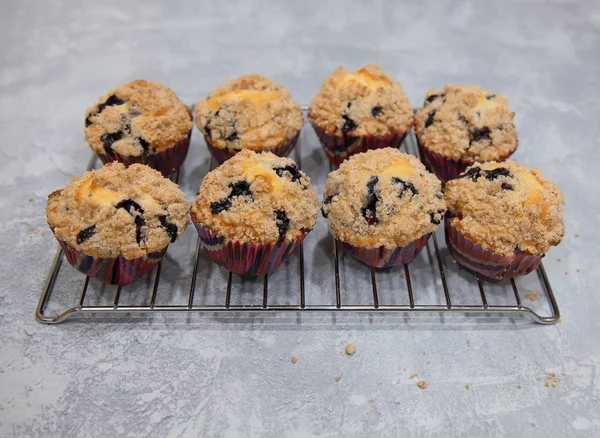 Hemlagad blåbär muffins kylning på racket. — Stockfoto