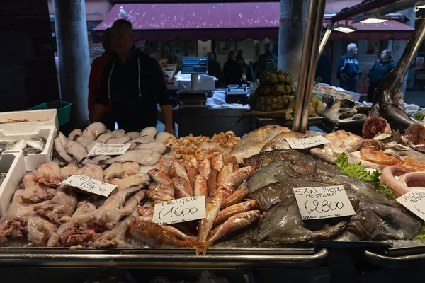 Venice Italy October 2019 Display Fresh Fish Rialto Fish Market — Stock Photo, Image