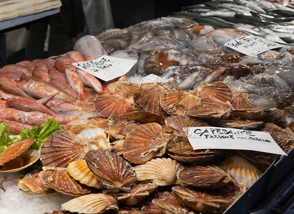 Seafood Fish Rialto Fish Market Mercato Rialto Venice — Stock Photo, Image