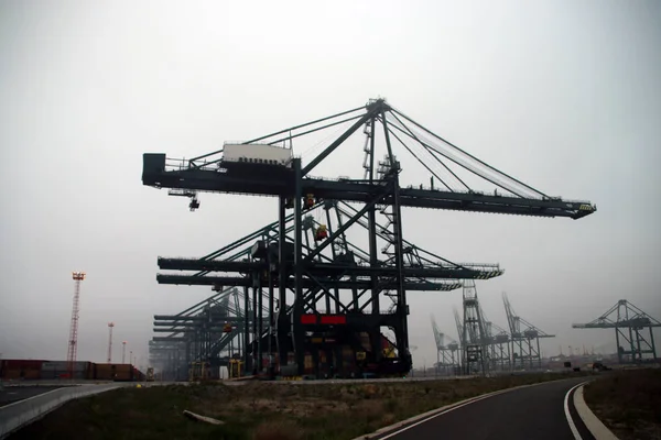 Grúas Para Contenedores Mar Día Niebla Oscura Puerto Amberes Bélgica —  Fotos de Stock