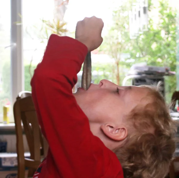 Küçük oğlan Hollandalı tradiition göre ringa balığı yiyor; elinde kuyruk ve yukarı doğru yemek