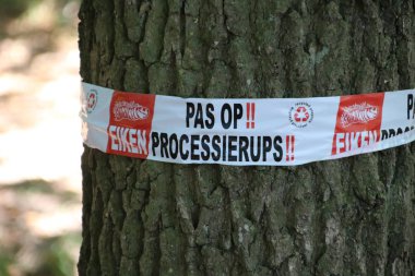 Warning tape around a tree in the Netherlands to warn for the oak processionary caterpillar clipart