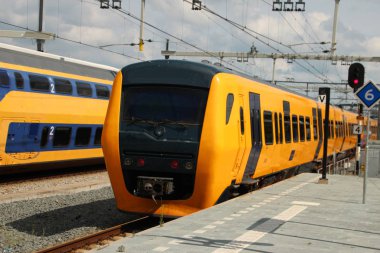 Emekli dizel tren için Hollanda'da elektrik olmadan birkaç parça Zwolle istasyonunda bekleyen buffel adlı.