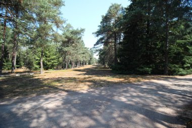 Mezar taşları üzerinde onur alan Loenen düşmüş asker ve yürütülen direniş üyeleri nerede gömülü olduğunu Hollanda.