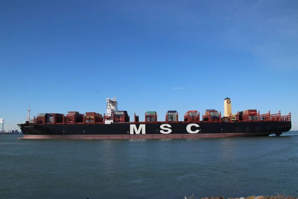 Enorme Buque Portacontenedores Msc Ditte Está Llegando Desde Mar Terminal — Foto de Stock
