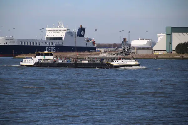 Schiffe Hafen Von Rotterdam Autos Und Fracht Von Den Schiffen — Stockfoto