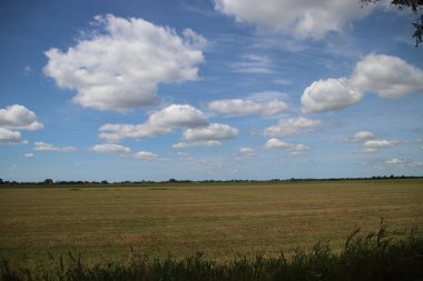 Büyük cumulus bulutları çayır ve Zuidplaspolder Hollanda alanlarında yukarıda.