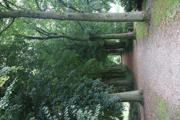 Park Bisdom Van Vliet Haastrecht Stare Groby Pozostaje Holandii — Zdjęcie stockowe