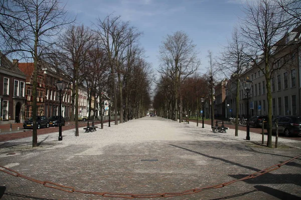 Antica Strada Nella Città Den Haag Chiamato Lange Voorhout Nei — Foto Stock