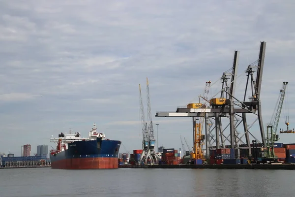 Cranes Ships Port Rotterdam Heijpaat Waalhaven Harbor Netherlands — Stock Photo, Image