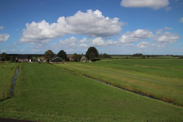 Zuidplaspolder 的草甸在 Moordrecht 在荷兰西欧的最低地区 在广阔的区域视野与蓝天和白云 — 图库照片