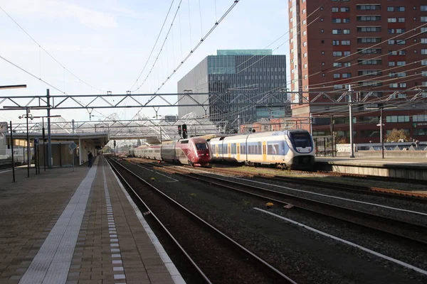 Comboio Internacional Thalys Entre Amesterdão Paris Passa Estação Leiden Este — Fotografia de Stock