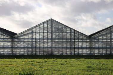 Zevenhuizen, Hollanda Eendragtspolder eski bir serada ışık ve gölge satırlarında