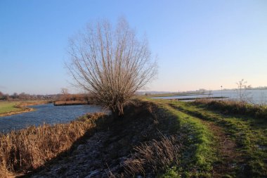 Rhine sonbahar Paz şehir Elst adlı bulunan Nederrijn adlı Nehri boyunca hazne