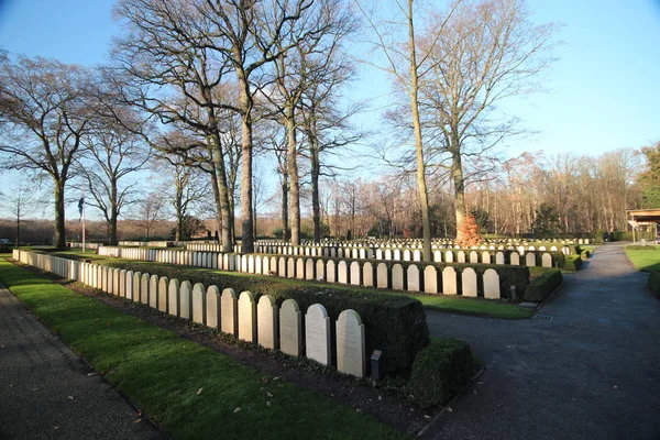 Lápidas Estatuas Campo Militar Honor Grebberberg Los Países Bajos Donde — Foto de Stock