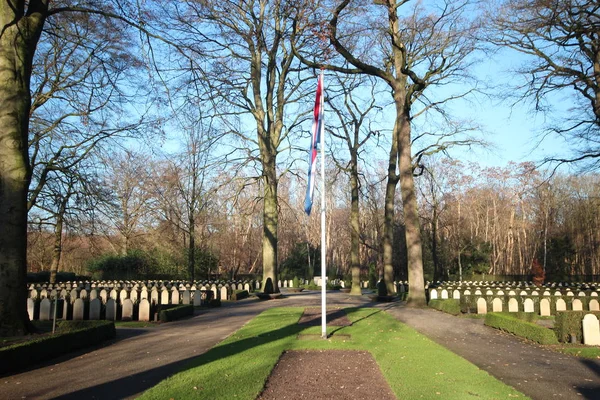 Gravestones Estátuas Campo Militar Honra Grebberberg Nos Países Baixos Onde — Fotografia de Stock
