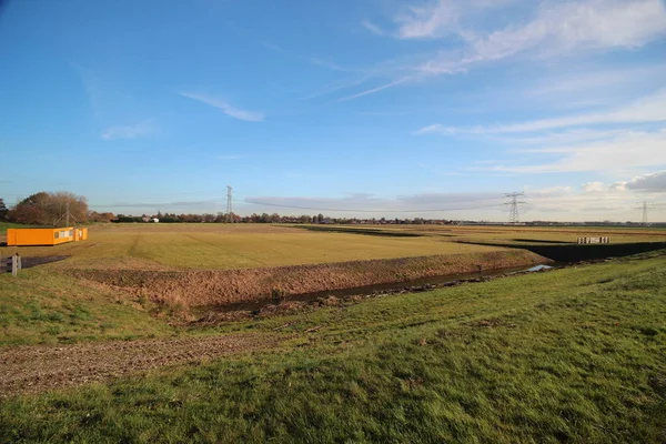 Prados Campos Con Brotes Bruselas Eendragtspolder Zevenhuizen Los Países Bajos — Foto de Stock