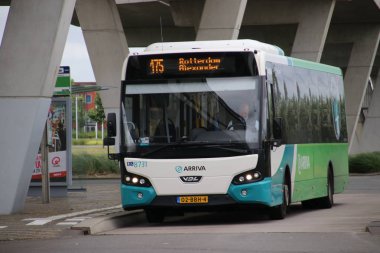 Arriva numaralı hattı 175 başlık 8731 beyaz yeşil otobüs Rottedam Alexander'a Metro İstasyonu Nesselande, Hollanda