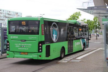 Arriva numaralı hattı 175 başlık 8731 beyaz yeşil otobüs Rottedam Alexander'a Metro İstasyonu Nesselande, Hollanda