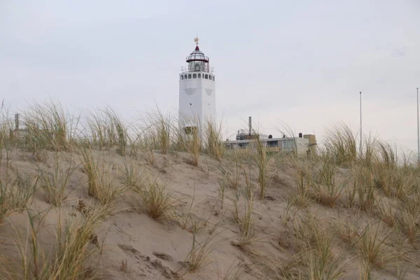 Zand Reed Duinen Van Noordwijk Nederland Aan Noordzeekust Met Witte — Stockfoto