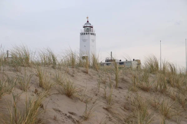Arka beyaz deniz feneri ile Kuzey Denizi kıyısında, Hollanda'da Noordwijk dunes, kum reed.