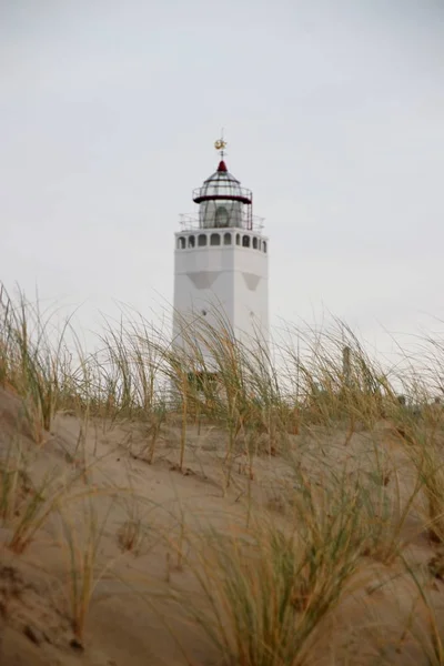 Zand Reed Duinen Langs Kust Van Noordzee Met Vuurtoren Van — Stockfoto