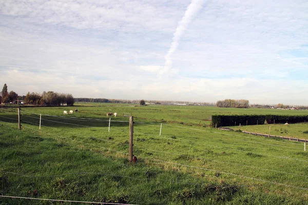 Pequeñas Carreteras Rurales Zuidplaspolder Moordrecht Los Países Bajos Zona Más —  Fotos de Stock